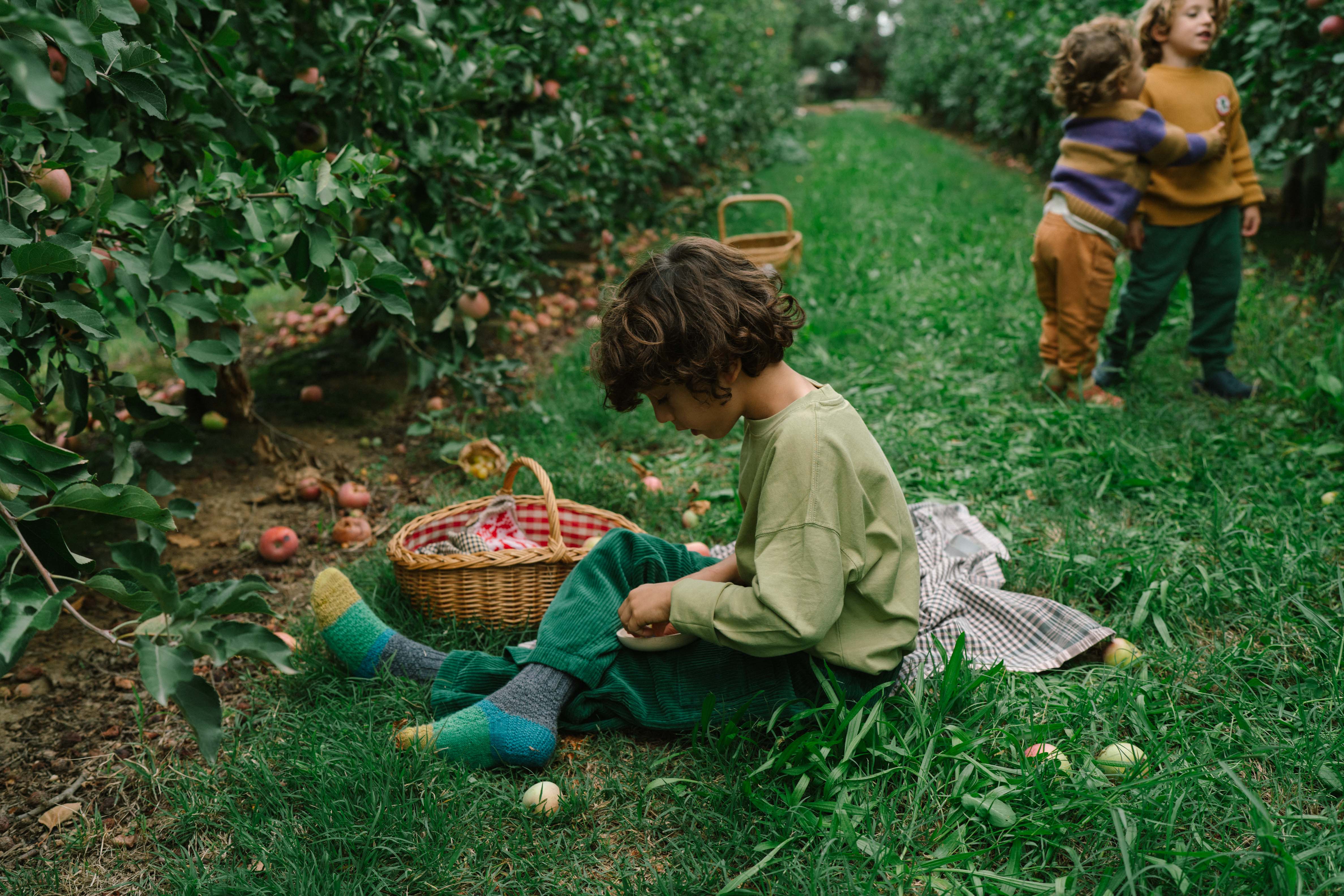 Grapat Spielset "Fruits" 12-teilig - Image 11