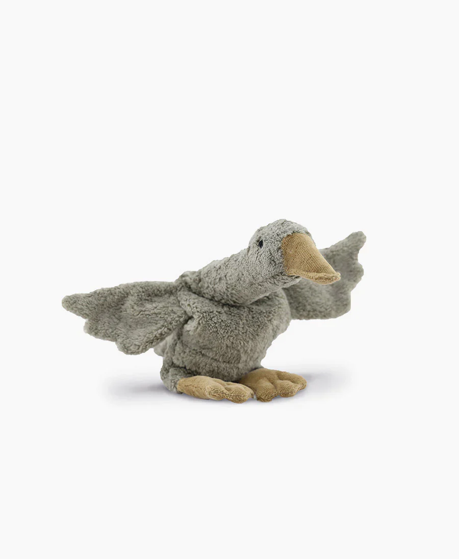 Vorschaubild 1
