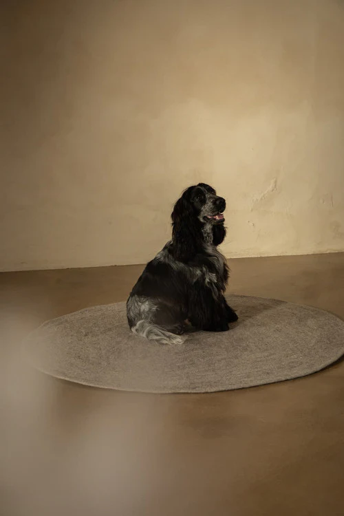 Muskhane Teppich "Kali" Heller Stein - Image 4