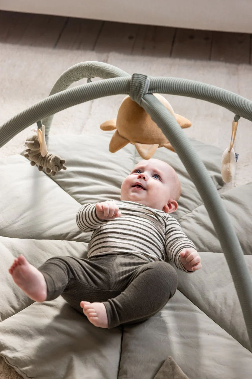 Sebra Spielbogen, Baby Gym | Woodland - Image 3